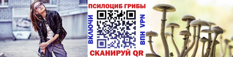 кракен ССЫЛКА  Брянск  Псилоцибиновые грибы GOLDEN TEACHER 