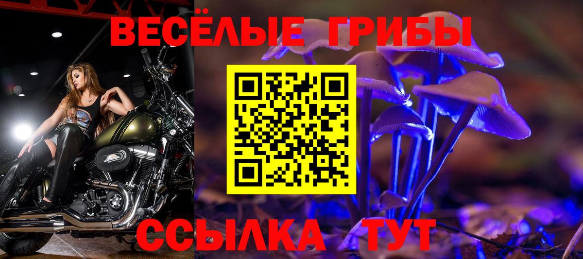Брянск  Псилоцибиновые грибы Magic Shrooms  Вход с VPN 
