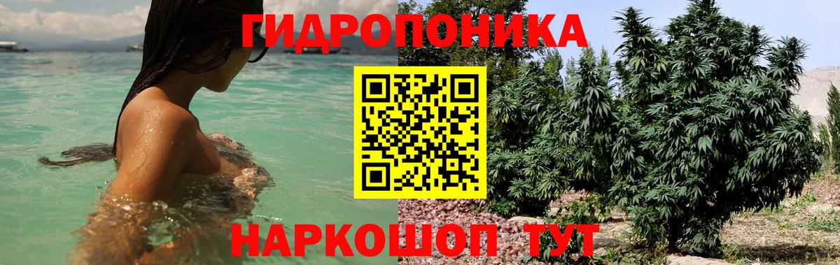 Брянск  Каннабис AK-47  Бошки Шишки MAZAR  Вход с VPN  МАРИХУАНА Amnesia 